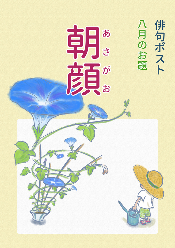 俳句ポストお題_8月朝顔.jpg